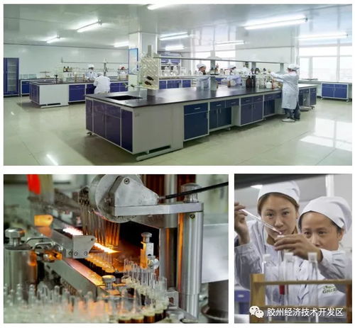 集中簽約，示范區(qū)明星企業(yè)精彩亮相——精心設(shè)計(jì)網(wǎng)站助力招商盛會(huì)