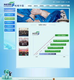 廣州與深圳網站建設成功案例 選擇18年老牌萬戶網絡，打造專業精品網站