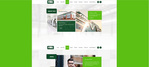 雷士光電官方網(wǎng)站建設(shè)項(xiàng)目 構(gòu)建專業(yè)數(shù)字門戶，照亮品牌未來(lái)